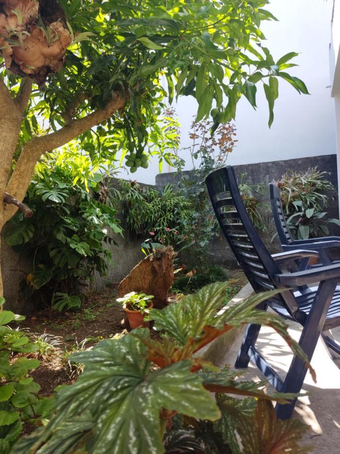 Apartmán Casa Da Avo Rosa São Vicente Exteriér fotografie
